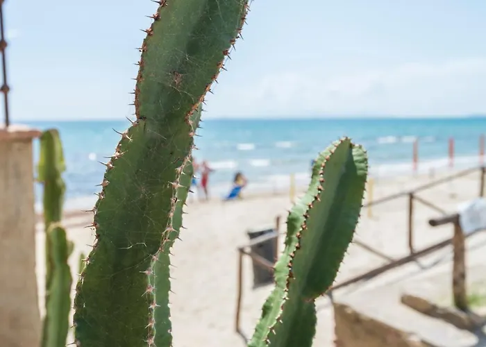 Torre Mozza - Dimora D' Epoca Фоллоника